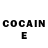 Cocaine Fish Scale Alvaro Celis