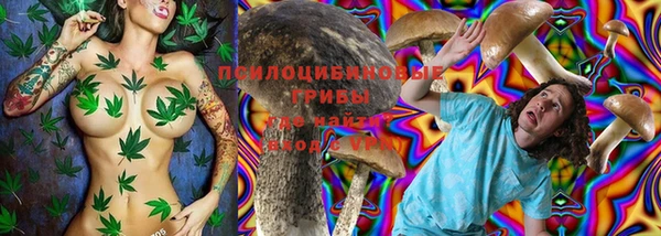 молекула духа Алексеевка